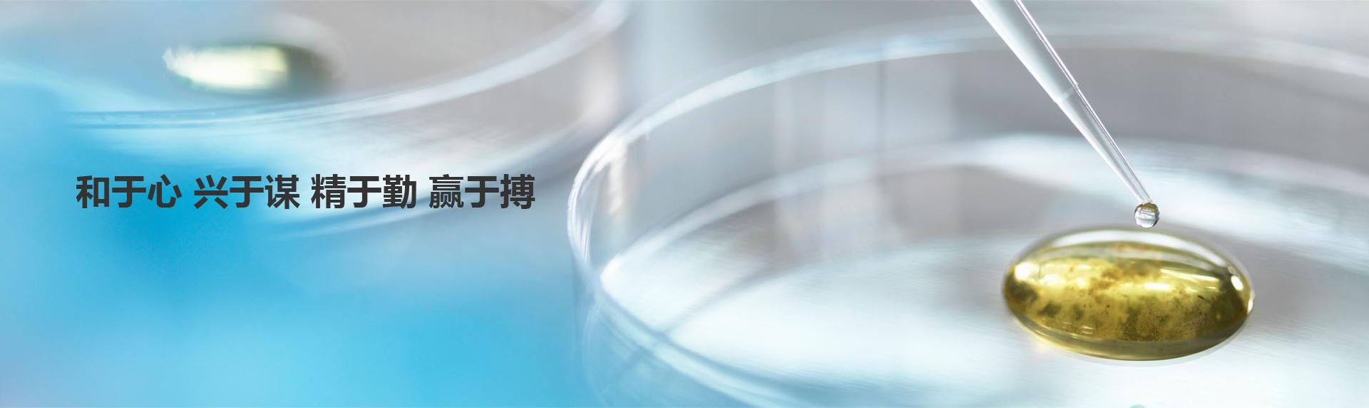k8凯发(中国)天生赢家·一触即发